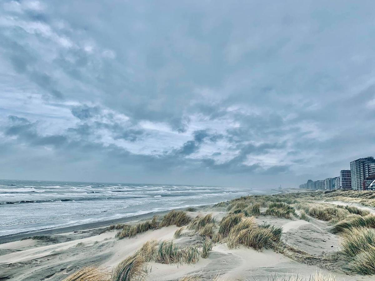 B&B Huize Van Damme Nieuwpoort Bagian luar foto